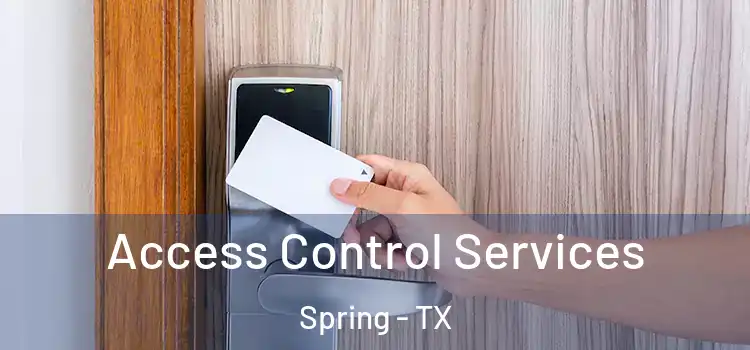 Access Control Services Spring - TX