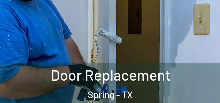 Door Replacement Spring - TX