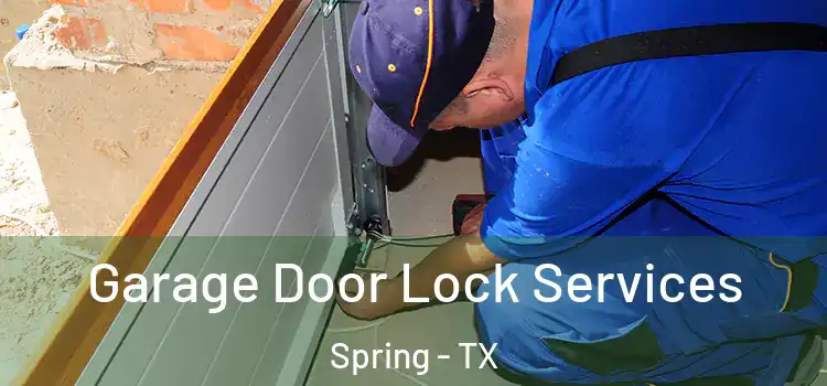 Garage Door Lock Services Spring - TX