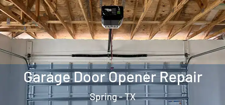  Garage Door Opener Repair Spring - TX
