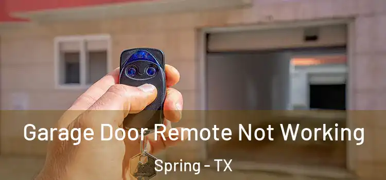  Garage Door Remote Not Working Spring - TX