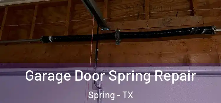  Garage Door Spring Repair Spring - TX