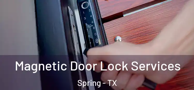 Magnetic Door Lock Services Spring - TX