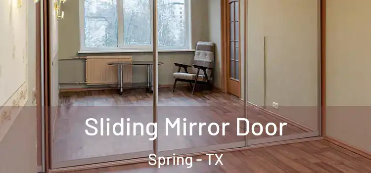  Sliding Mirror Door Spring - TX